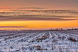 Winter Field Near Sunrise_P1230884-6